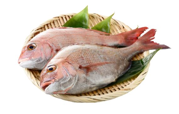 그림입니다.

원본 그림의 이름: CLP000015800002.bmp

원본 그림의 크기: 가로 610pixel, 세로 391pixel