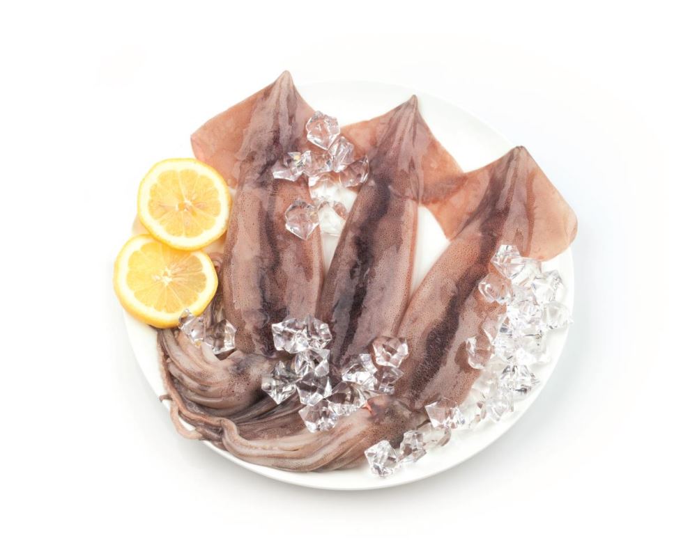 그림입니다.

원본 그림의 이름: 오징어 생물.jpg

원본 그림의 크기: 가로 4031pixel, 세로 3213pixel

사진 찍은 날짜: 2022년 07월 13일 오후 3:06

프로그램 이름 : Adobe Photoshop 21.2 (Macintosh)

EXIF 버전 : 0231